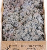 Icelandic moss (reindeer moos), box of 500 gr