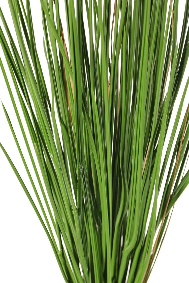 Grass plant 'de Luxe', with 12 bundles of grass, full plastic, no pot, Ø 25 cm, H. 65 cm, UV resistant