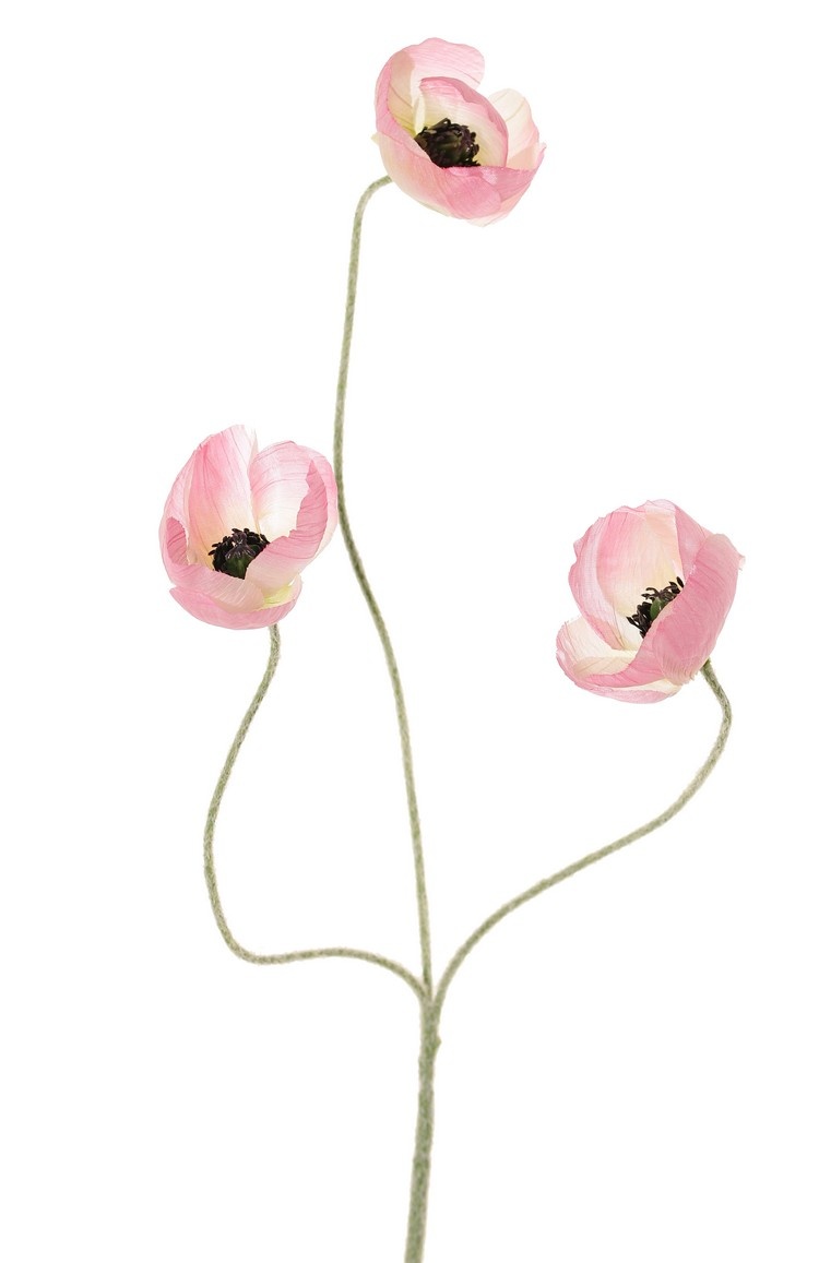 Poppy flower mini, 3 flowers (Ø 5 cm), no leaves, 50 cm