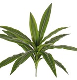 Dracaenaplant met 16 PE bladeren, H. 40 cm, Ø 50 cm