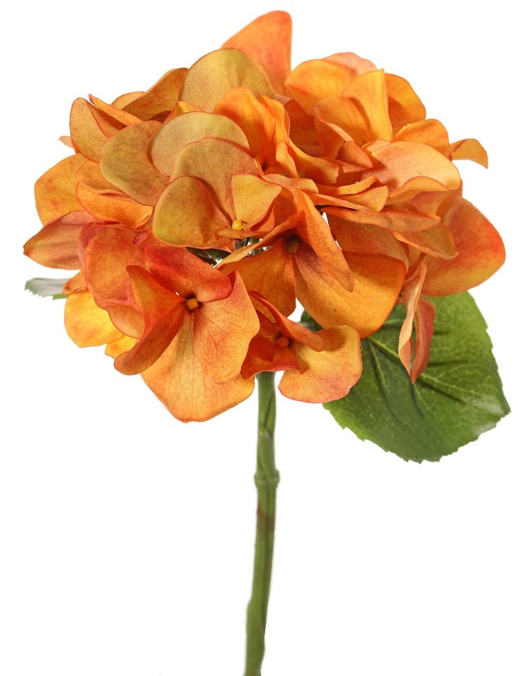 Hydrangea "Sensitive"  Ø 13cm, 24 petals, 2 leaves, 33 cm