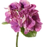 Hydrangea "Sensitive"  Ø 13cm, 24 petals, 2 leaves, 33 cm