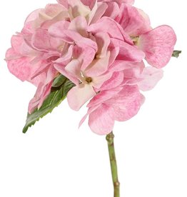 Hortensie (Hydrangea) "Sensitive" x1, Ø 13CM, x24 Blütenblätter, x2Blt,33CM