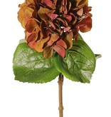 Hortensie "Sensitive", Ø 18cm, 52 Blüten, 5 Blätter, 60cm