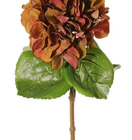 Hortensia "Sensitive", flor: Ø 18cm, 52 pétalos & 5 hojas, 60 cm