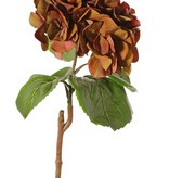 Hortensie "Sensitive", Ø 18cm, 52 Blüten, 5 Blätter, 60cm