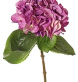 Hydrangea "Sensitive", flowerhead: Ø 18cm, 52 petals & 5 leaves, 60 cm