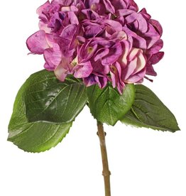 Hortensia "Sensitive", flor: Ø 18cm, 52 pétalos & 5 hojas, 60 cm