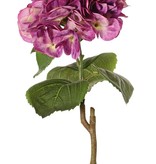 Hortensia "Sensitive", flor: Ø 18cm, 52 pétalos & 5 hojas, 60 cm