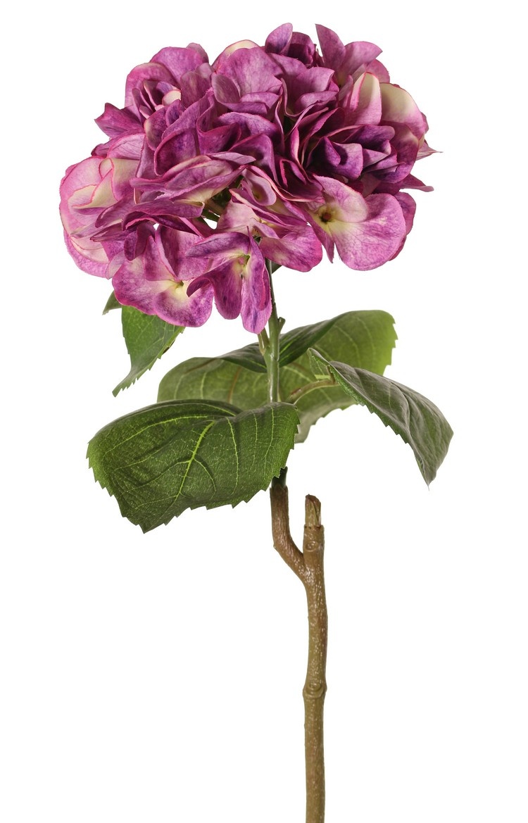 Hortensia "Sensitive", Ø 18cm, 52 bloemblaadjes & 5 bladeren, 60 cm