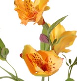 Alstroemeria, Inkalilie "Bella", 5 Blumen, 3 Knospen, 16 Blätter, 75 cm