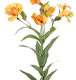 Alstroemeria, astromelia, lirio del Perú,  "Bella",  5 flores, 3 capullos, 16 hojas, 75 cm