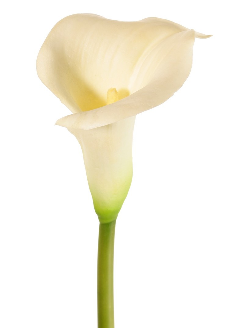 Flores artificiales Calla (Zantedeschia) - Top Art International - flores y  plantas artificiales - solo para clientes comerciales
