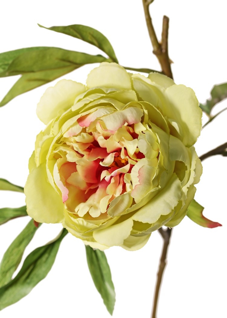 Peony "Spring Dream", 2 flores ø10/8cm, 1 capullo ø4cm, 25 hojas, 73cm