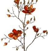 Magnolia branch, 5 branches, 4 flowers, 5 large flower buds, 17 small buds, 107 cm