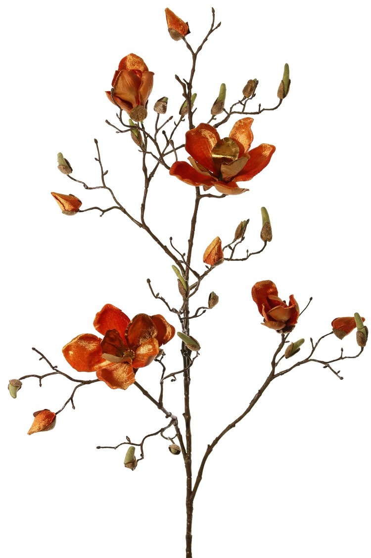 Magnolia branch, 5 branches, 4 flowers, 5 large flower buds, 17 small buds, 107 cm