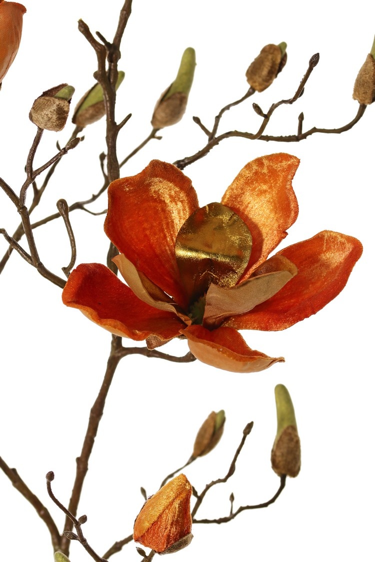 Magnolienzweig, 5x verzweigt, 4 Blumen, 5 große Blütenknospen, 17 kleine Knospen, 107 cm