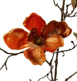 Magnolienzweig, 5x verzweigt, 4 Blumen, 5 große Blütenknospen, 17 kleine Knospen, 107 cm