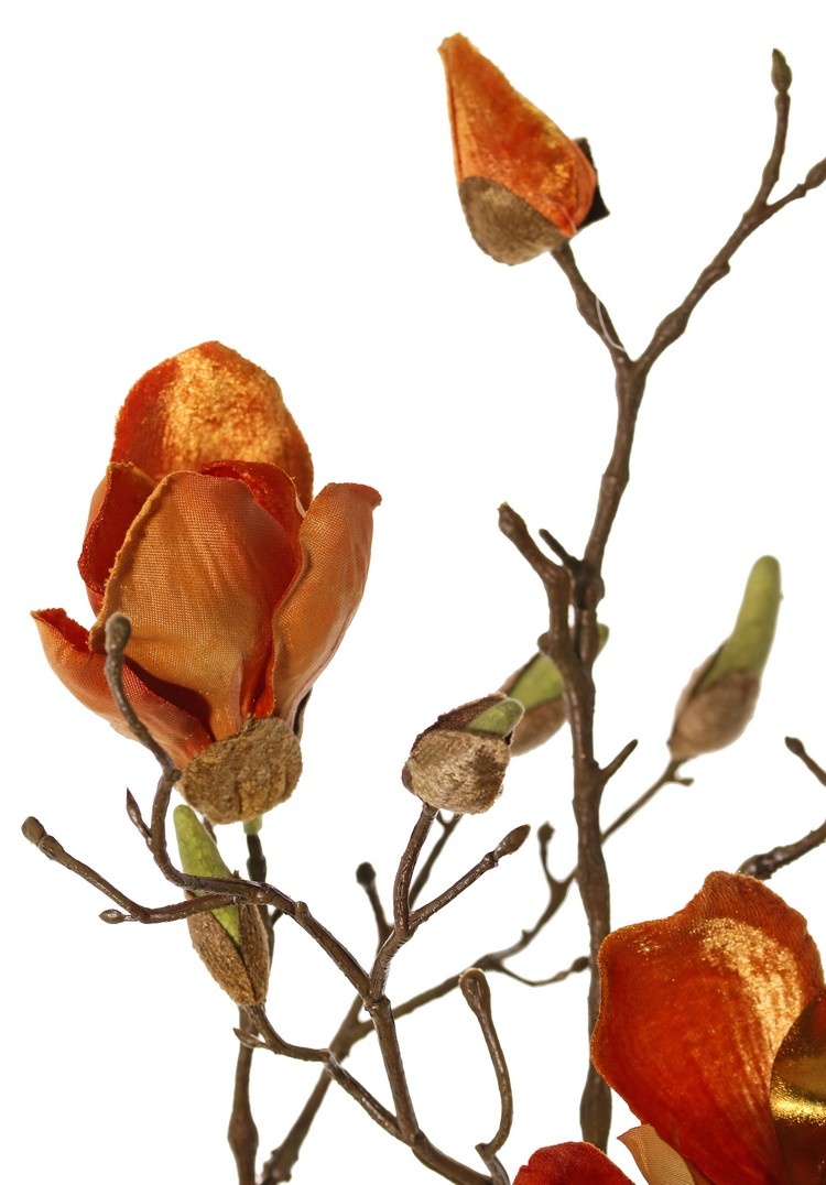 Magnolia branch, 5 branches, 4 flowers, 5 large flower buds, 17 small buds, 107 cm