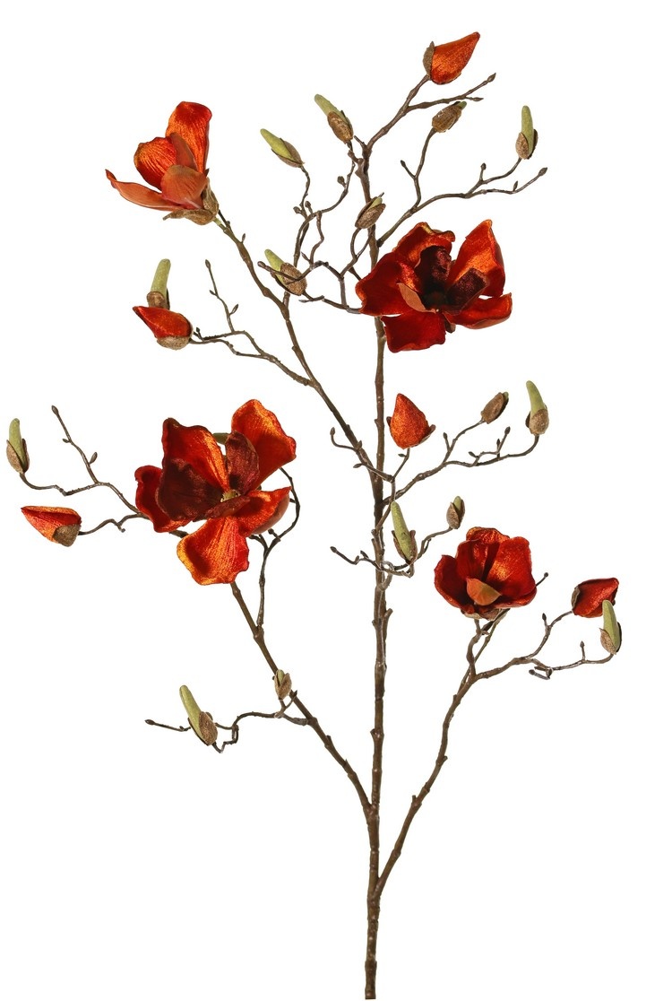 Magnolia branch, 5 branches, 4 flowers, 5 large flower buds, 17 small buds, 107 cm