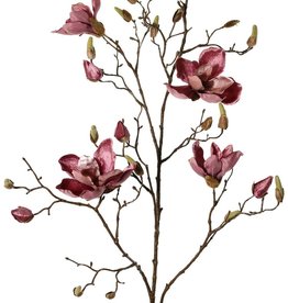 Magnolia branch, 5 branches, 4 flowers, 5 large flower buds