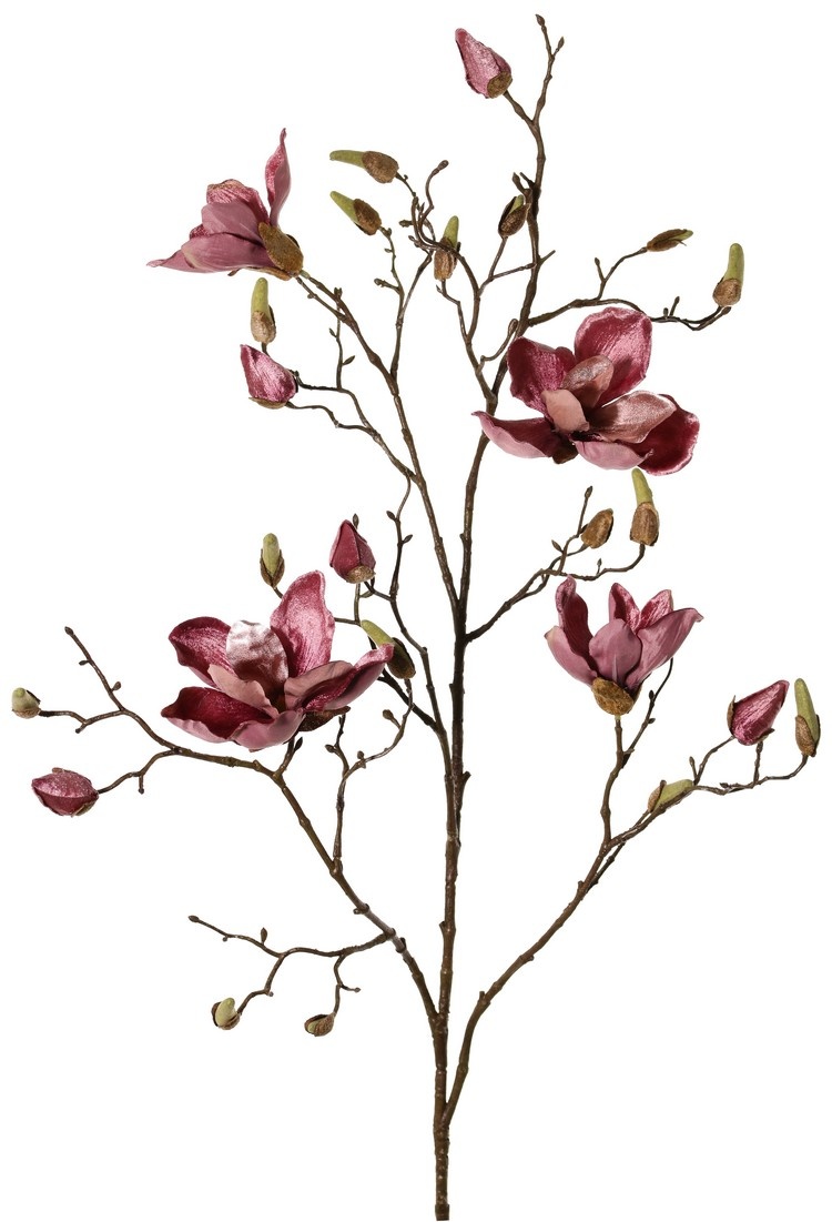 Magnolia branch, 5 branches, 4 flowers, 5 large flower buds, 17 small buds, 107 cm