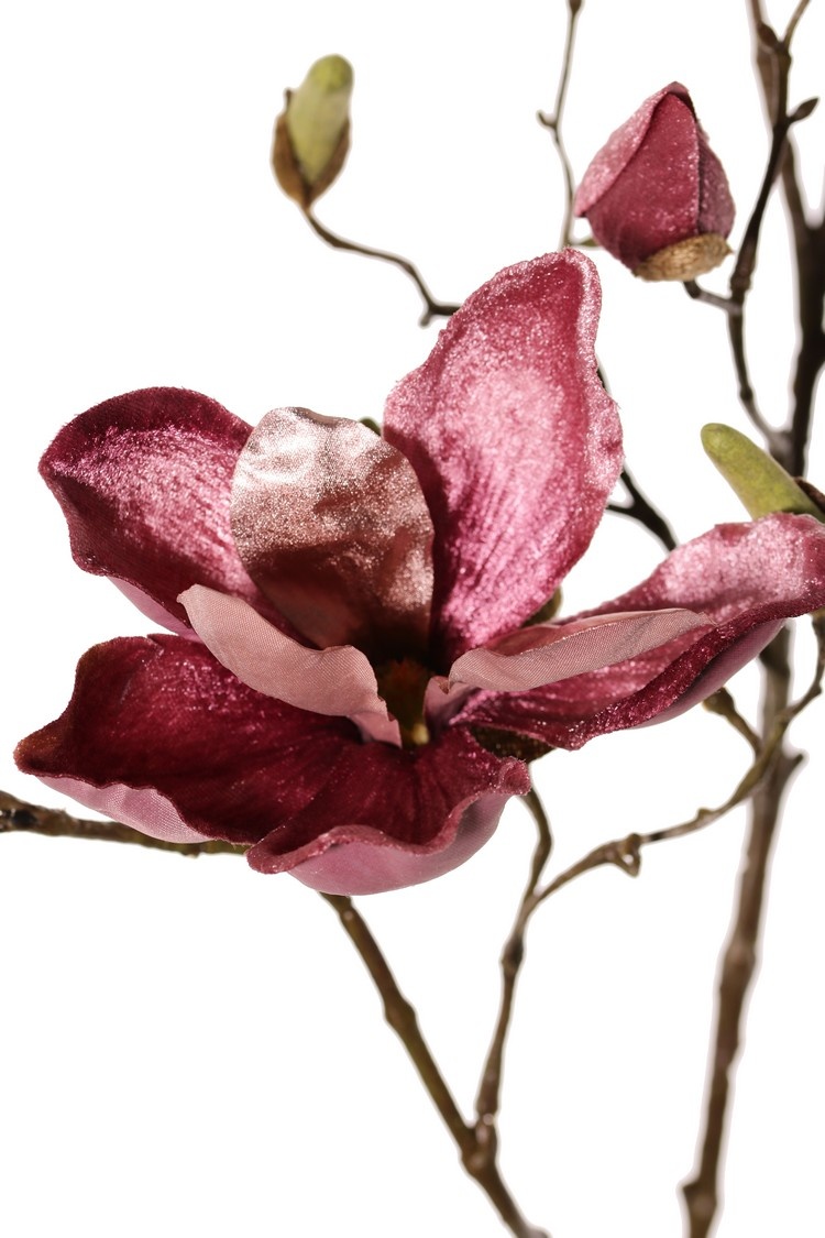 Magnolia branch, 5 branches, 4 flowers, 5 large flower buds, 17 small buds, 107 cm