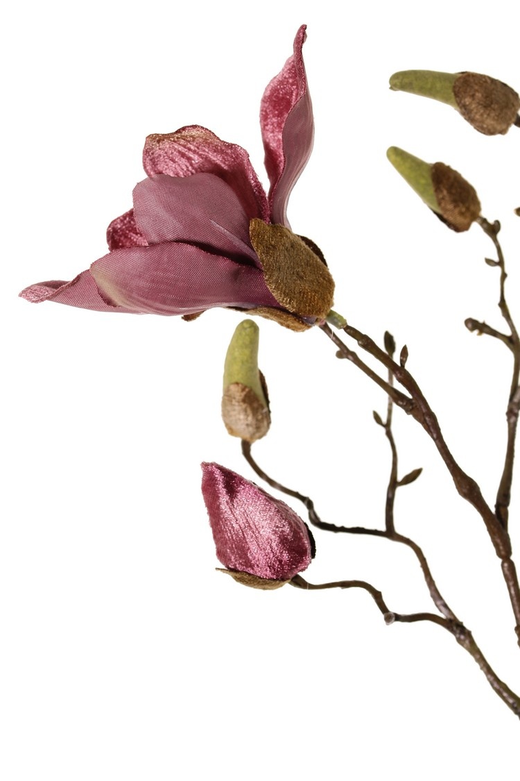 Magnolia branch, 5 branches, 4 flowers, 5 large flower buds, 17 small buds, 107 cm