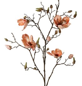 Magnolia branch, 5 branches, 4 flowers, 5 large flower buds