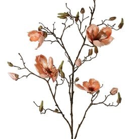 Magnolienzweig, 5x verzweigt, 4 Blumen, 5 große Blütenknospen