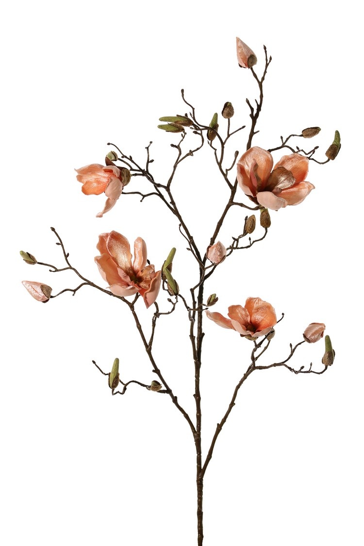 Magnolia branch, 5 branches, 4 flowers, 5 large flower buds, 17 small buds, 107 cm
