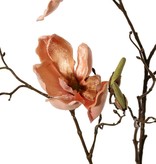 Magnolia branch, 5 branches, 4 flowers, 5 large flower buds, 17 small buds, 107 cm