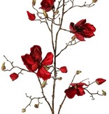 Magnolienzweig, 5x verzweigt, 4 Blumen, 5 große Blütenknospen, 17 kleine Knospen, 107 cm