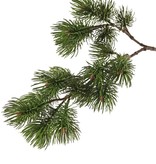 Dennetak (Pinus) 2x vertakt, met 16 plastic dennetoeven (10x L / 6x S), 71 cm