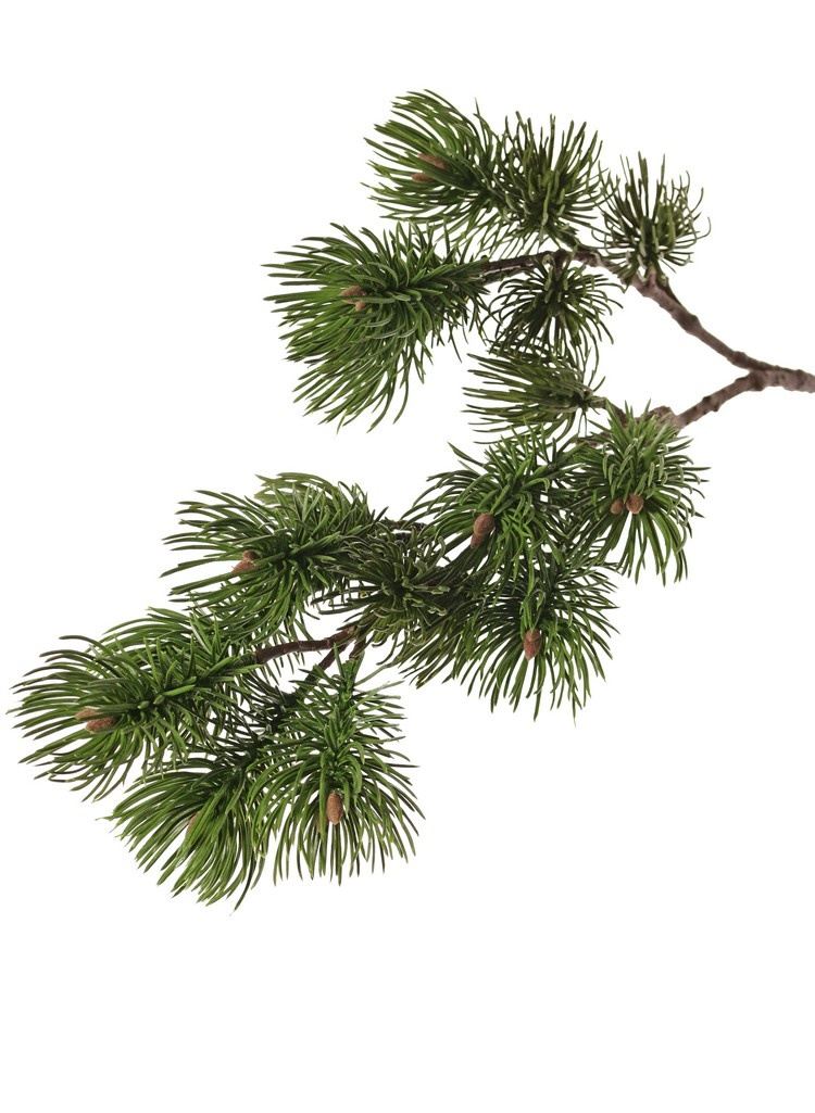 Dennetak (Pinus) 2x vertakt, met 16 plastic dennetoeven (10x L / 6x S), 71 cm