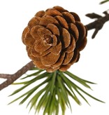 Rama de alerce (Larix sibirica) 'de luxe' con 40 mechones de agujas de plástico y 3 conos de plástico, 93 cm