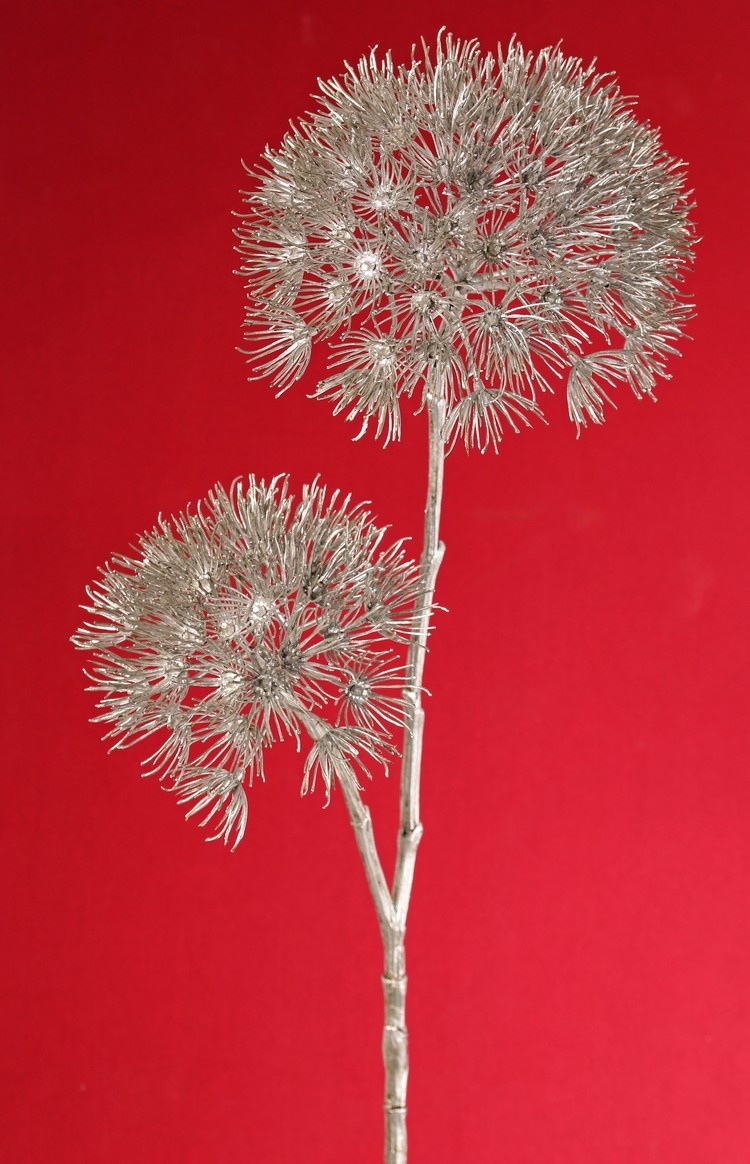 Apiaceae 'Winter Glow' con 2 inflorescencias, Ø 20 cm / Ø 15 cm, 96 cm