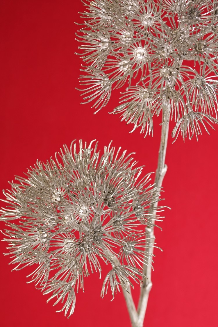 Apiaceae 'Winter Glow' con 2 inflorescencias, Ø 20 cm / Ø 15 cm, 96 cm