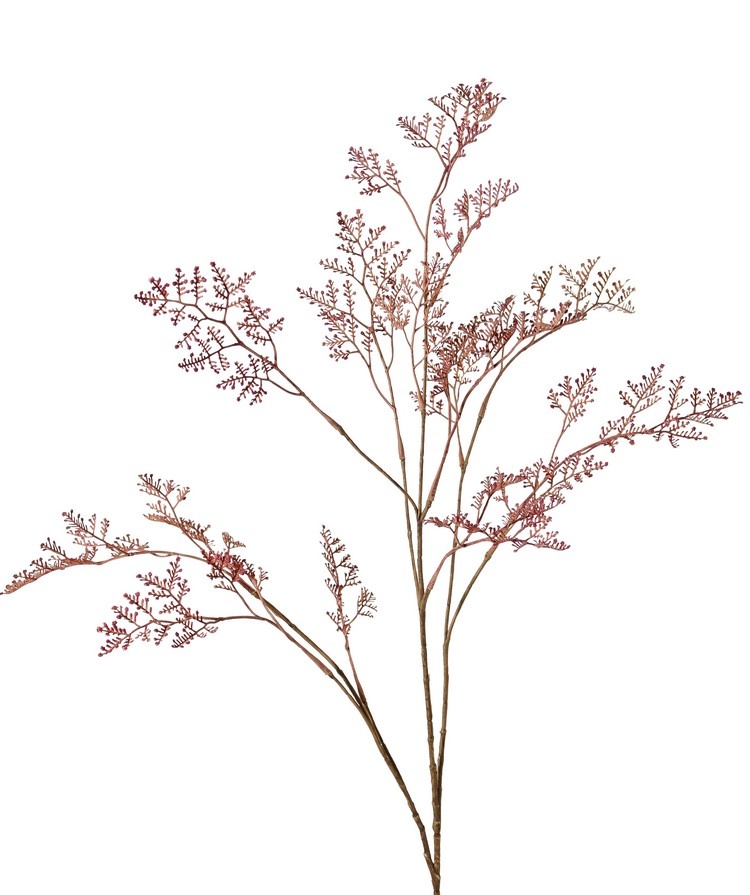 Limonium-Zweig (Strandflieder) 'Earthy Garden' 3x verzweigt, 57 Blattbüschel, 100 cm