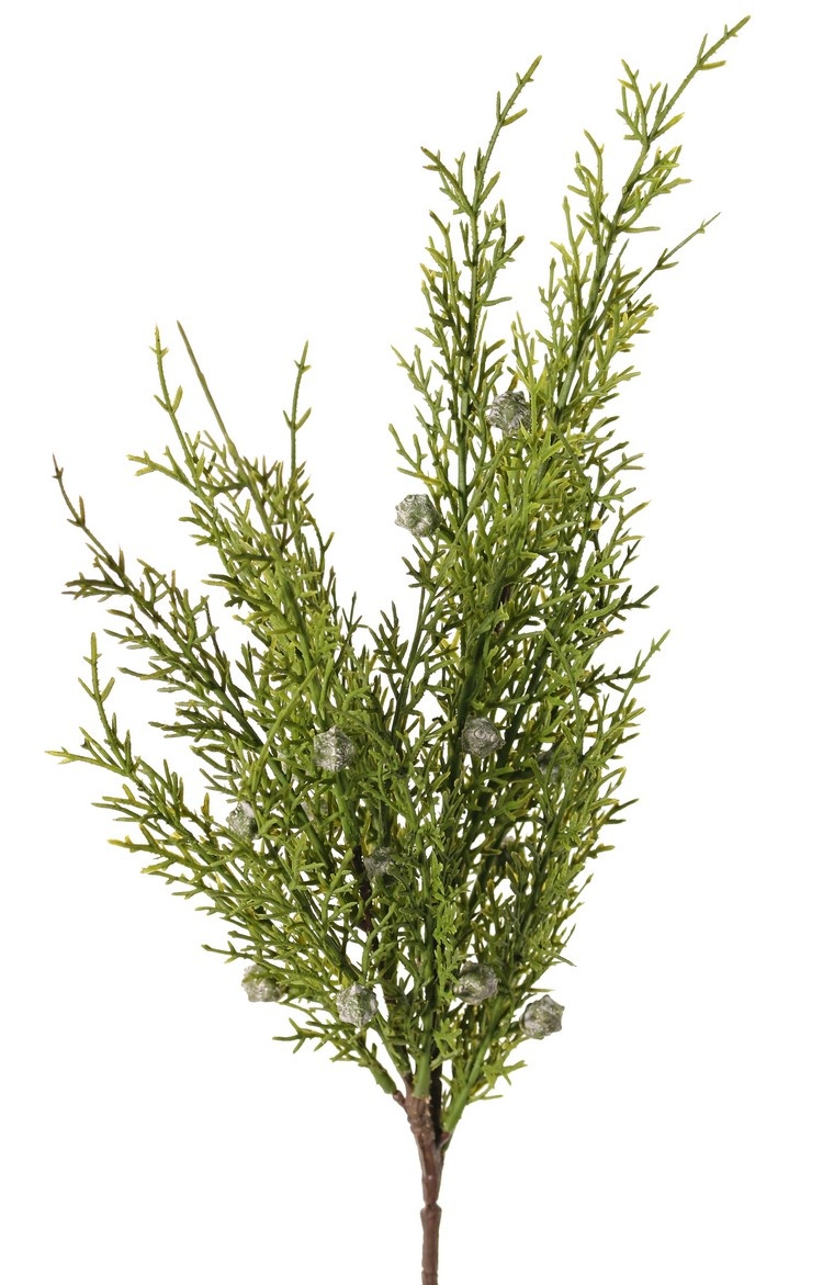 Rama de enebro (Juniperus) 2x ramificado, con 3 manojos de hojas y 16 bayas, 48 cm