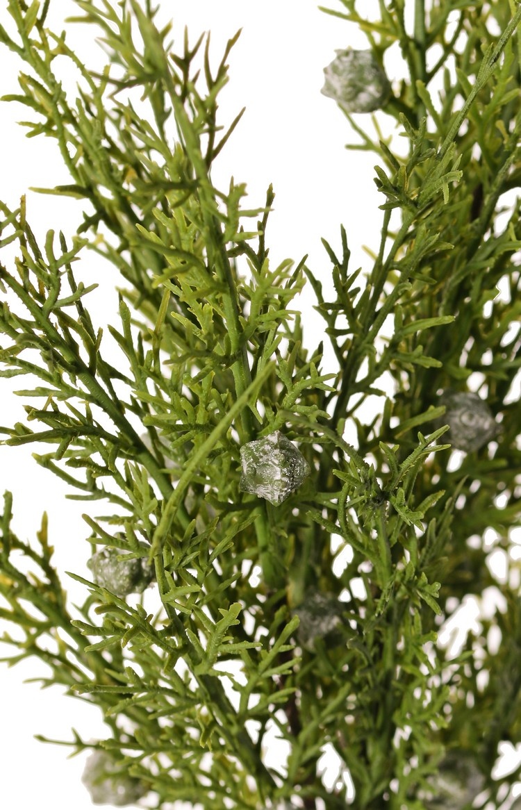 Juniper branch (Juniperus), 2x branched, 3 bunches of leaves, 16 berries, 48 cm