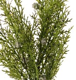 Wacholderzweig (Juniperus) 2x verzweigt, mit 3 Blattbüscheln, (16 Stck.) & 16 Beeren, 48 cm