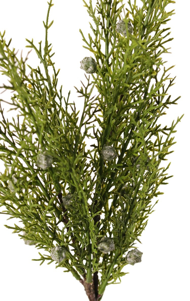 Juniper branch (Juniperus), 2x branched, 3 bunches of leaves, 16 berries, 48 cm