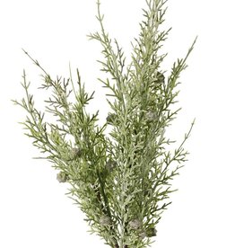 Rama de enebro (Juniperus) 2x ramificado, con 3 manojos de hojas y 16 bayas, 48 cm