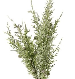 Wacholderzweig (Juniperus) 2x verzweigt, mit 3 Blattbüscheln, (16 Stck.) & 16 Beeren, 48 cm