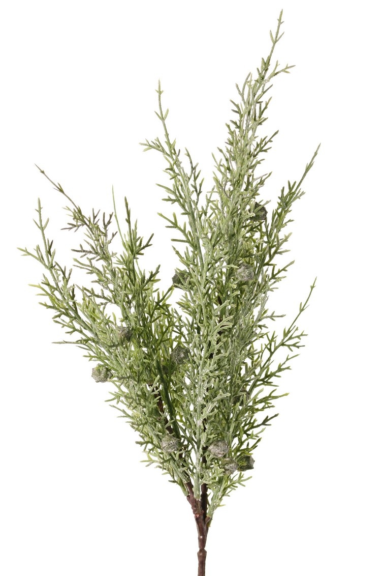 Wacholderzweig (Juniperus) 2x verzweigt, mit 3 Blattbüscheln, (16 Stck.) & 16 Beeren, 48 cm