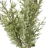 Juniper branch (Juniperus), 2x branched, 3 bunches of leaves, 16 berries, 48 cm