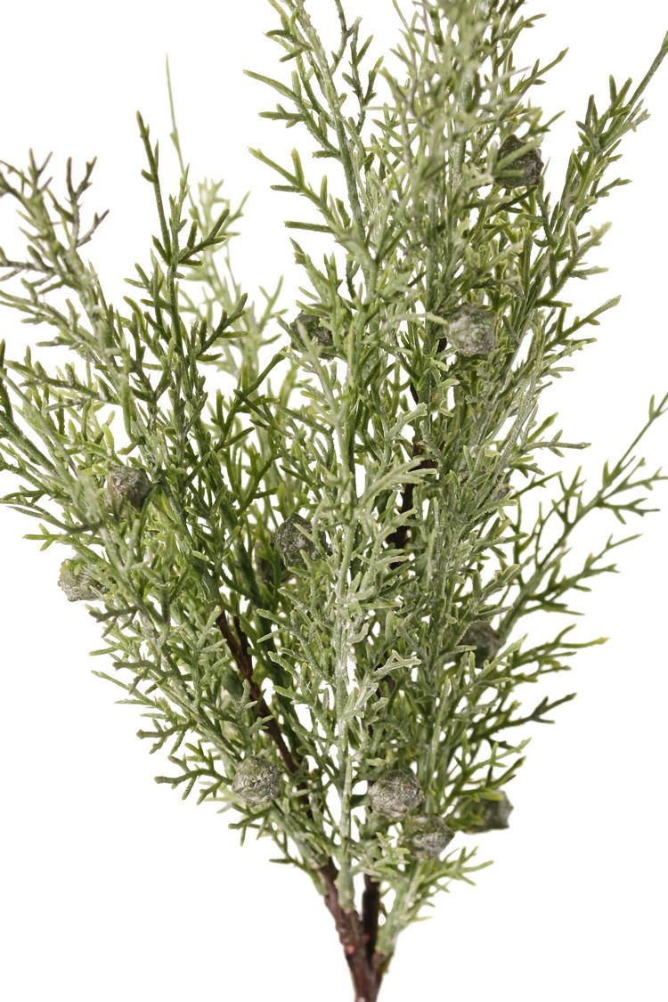 Juniper branch (Juniperus), 2x branched, 3 bunches of leaves, 16 berries, 48 cm