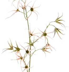 Flower branch 'Spider', 2x branched with 17 flowers, 70 cm