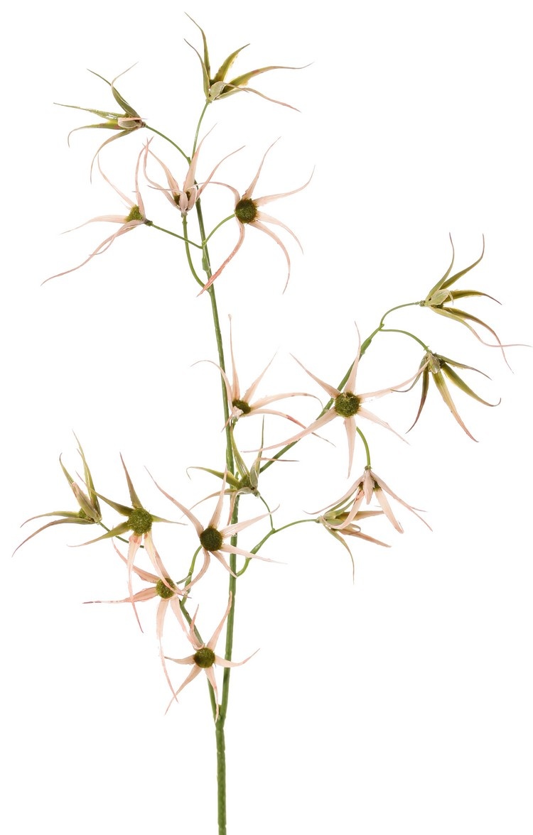Flower branch 'Spider', 2x branched with 17 flowers, 70 cm
